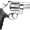 Smith & Wesson Model 629